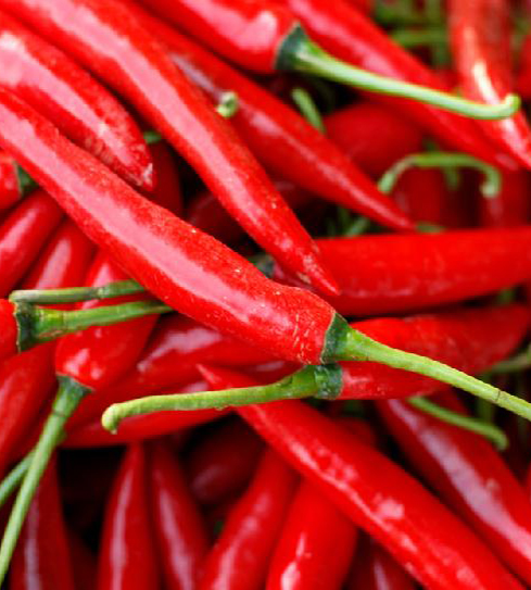 CHILLIES RED
